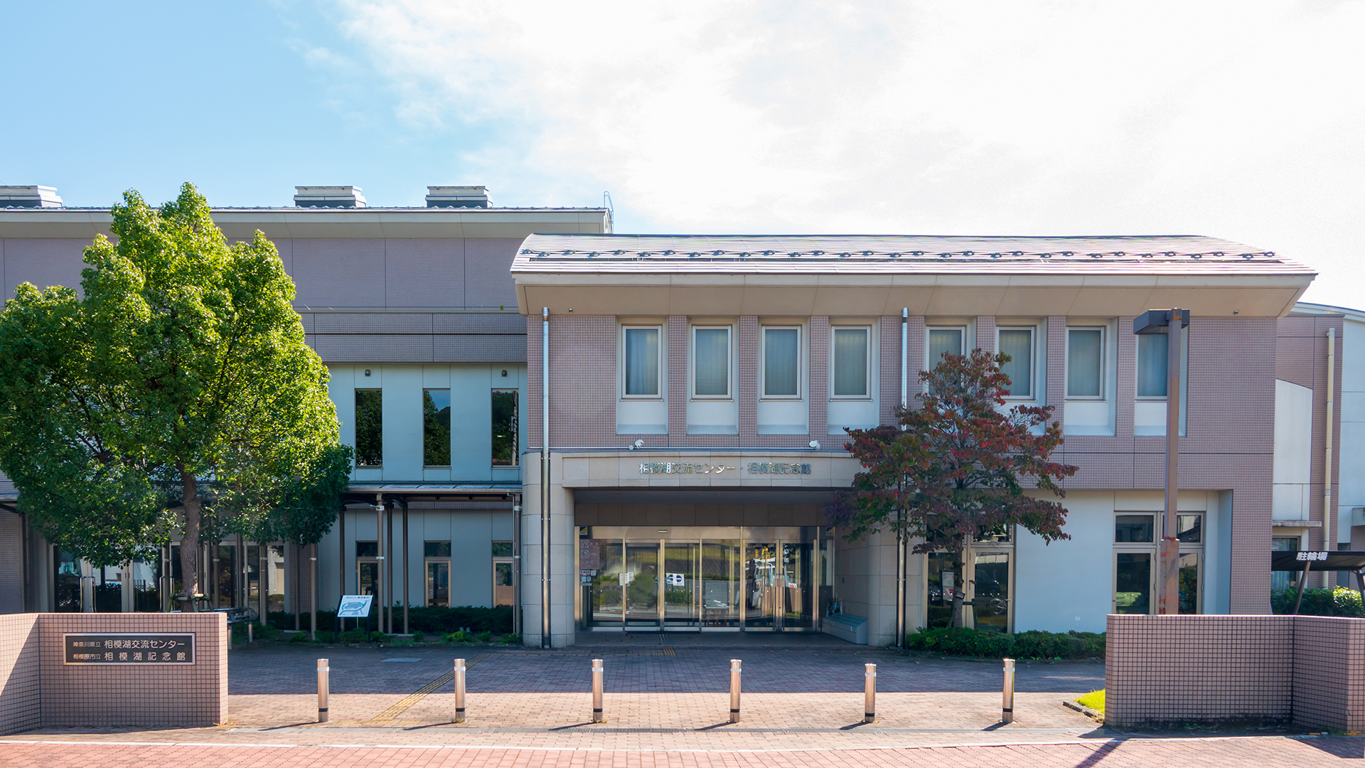 相川 51ZfydKIpXL.jpg_BO30,255,255,