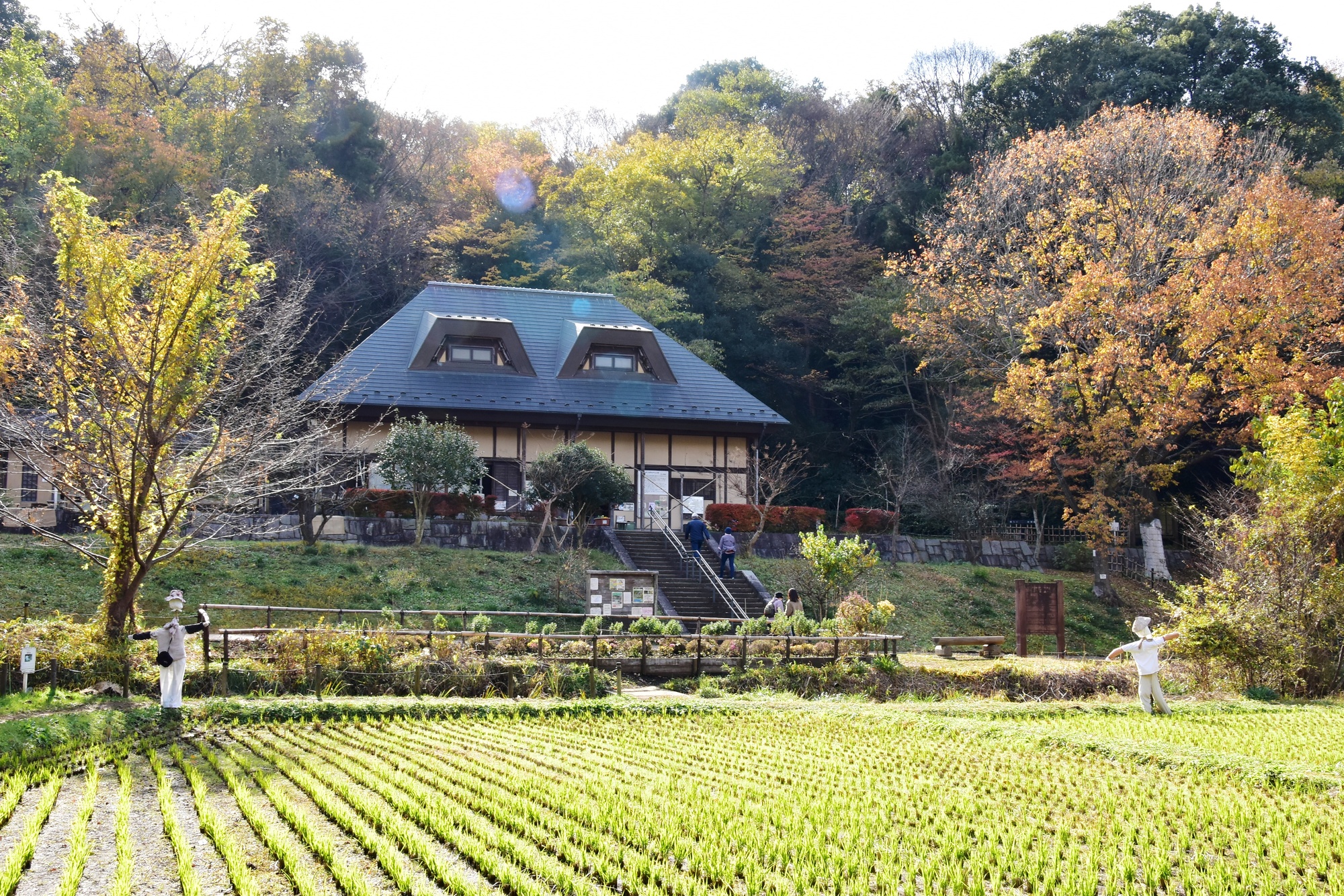 県立座間谷戸山公園【座間市】｜体験・観光スポット ｜【公式】神奈川県のお出かけ・観光・旅行サイト「観光かながわNOW」