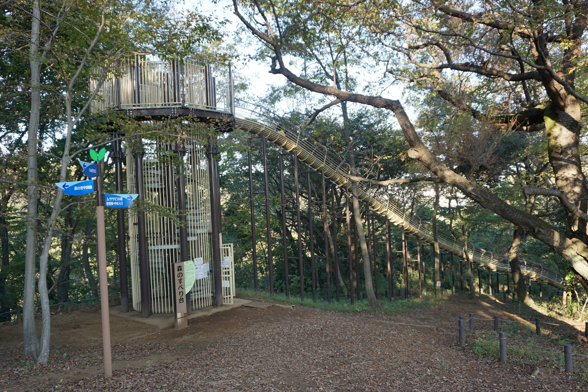 あ つぎ こども の 森 公園