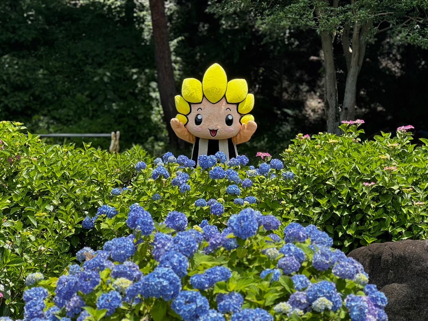 芹沢公園【座間市】