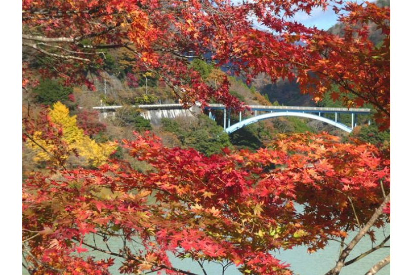 丹沢湖【山北町】|体験・観光スポット |【公式】神奈川県のお出かけ・観光・旅行サイト「観光かながわNOW」