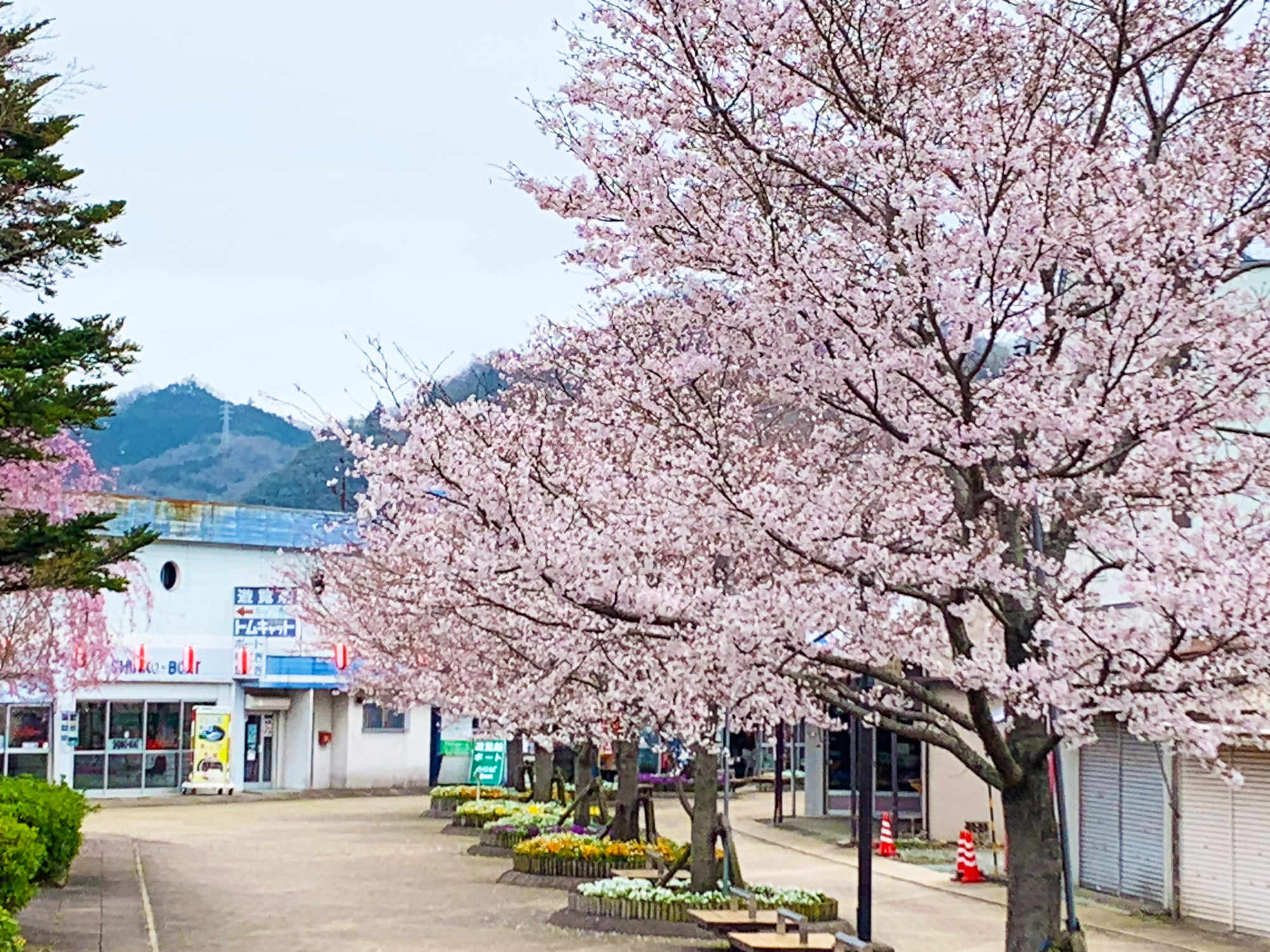 相模湖公園【相模原市】