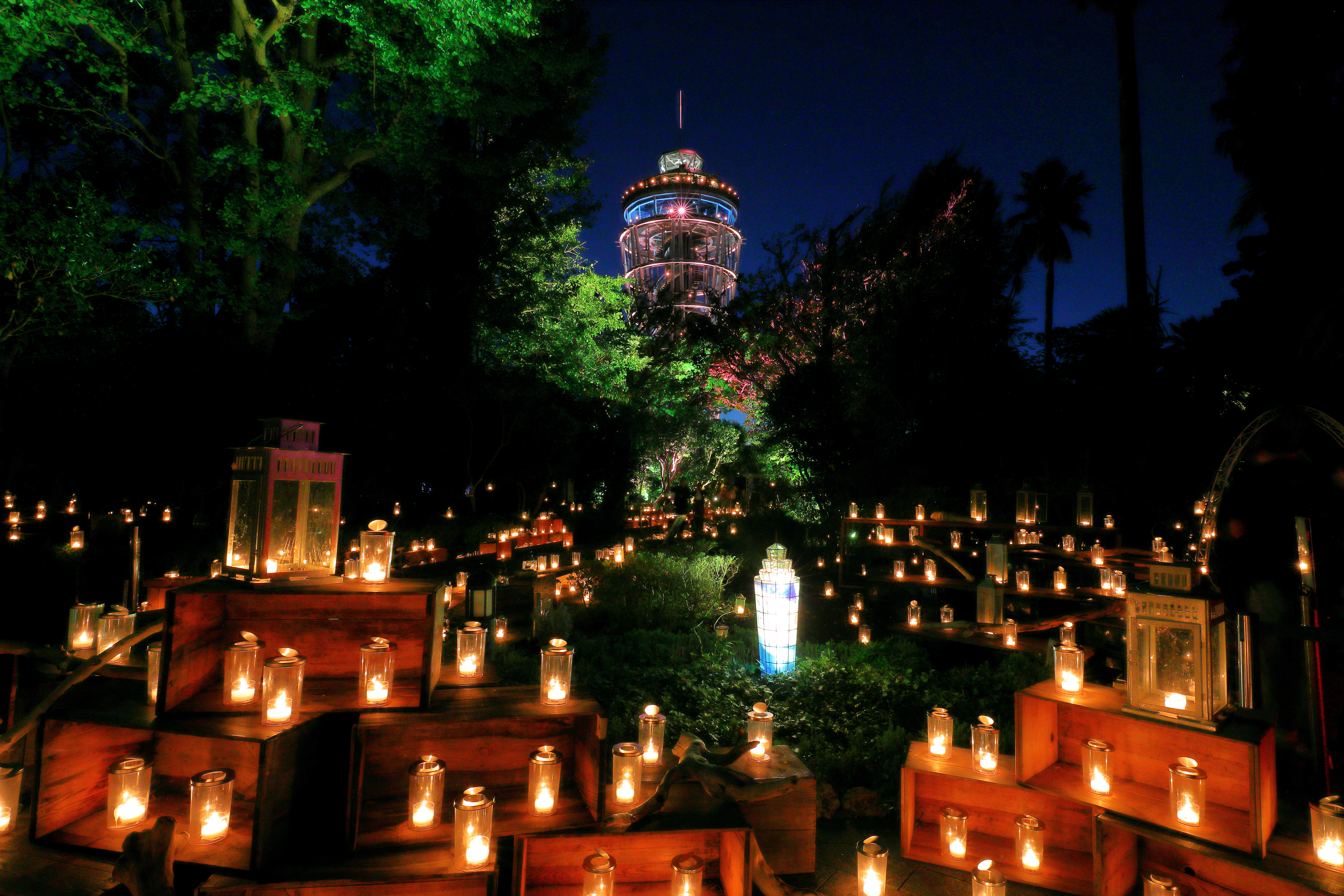 20241023145715_2023-10-