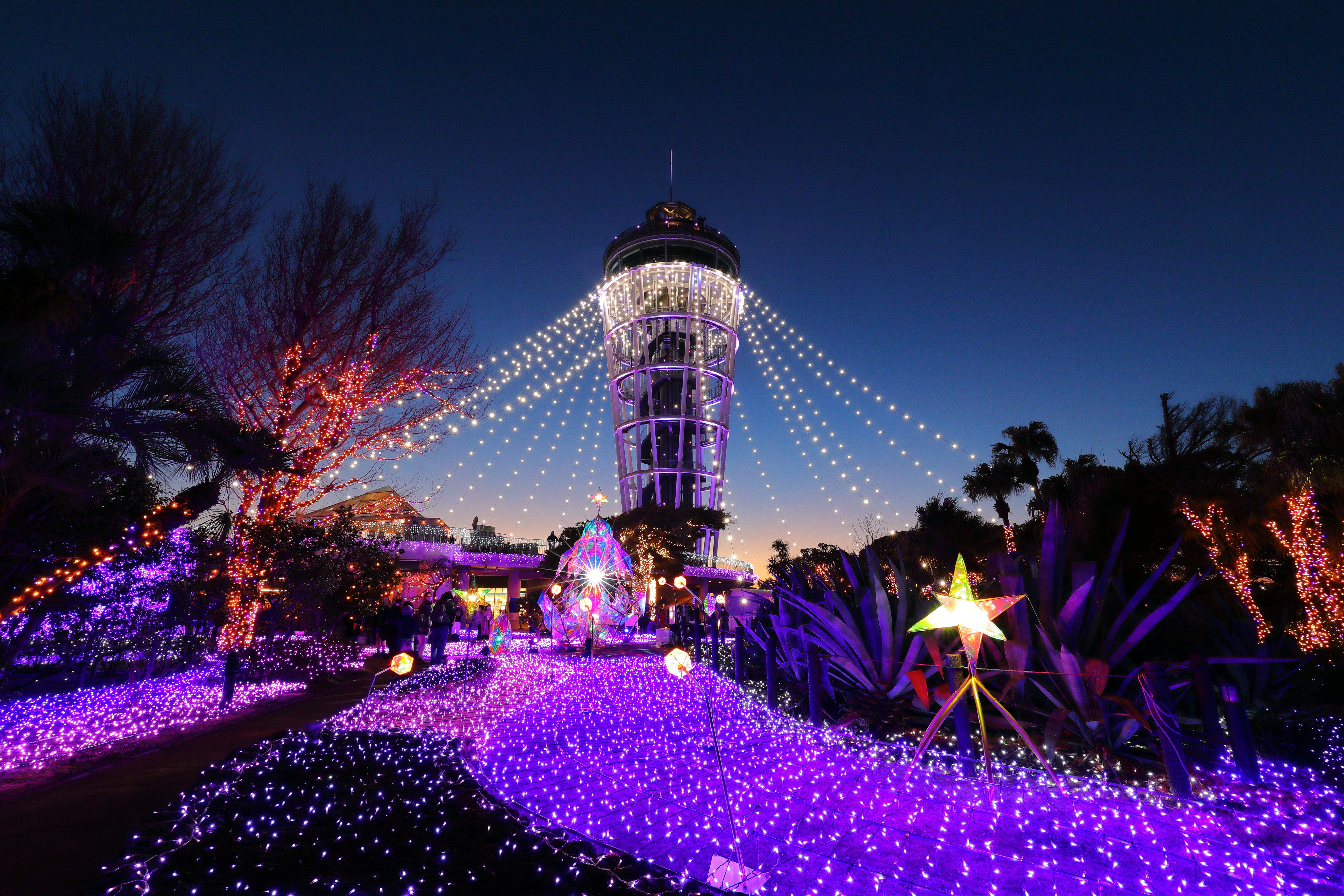 湘南の宝石2025-2026【藤沢市】