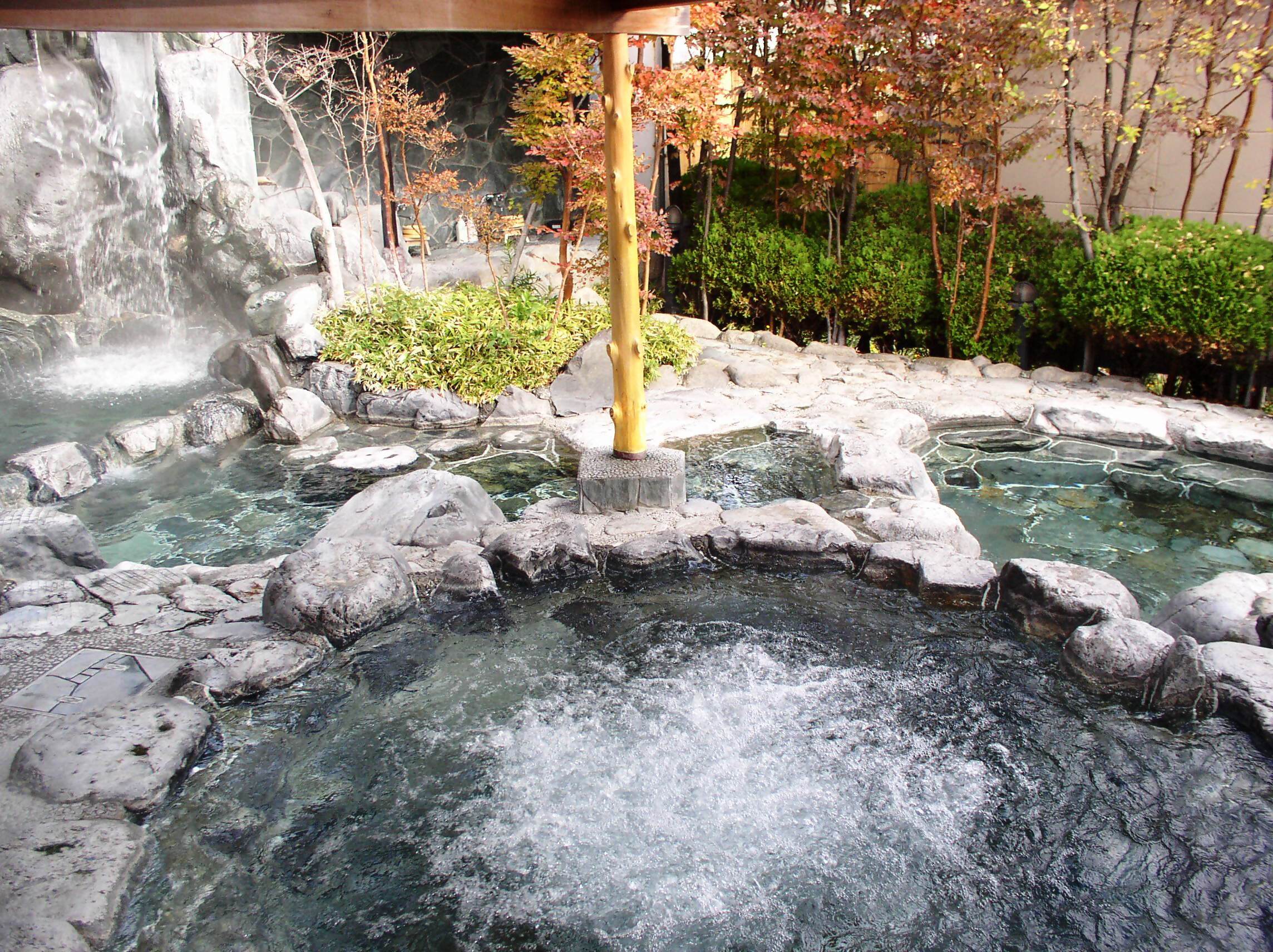 ゆ とろ 嵯峨 沢 の 湯