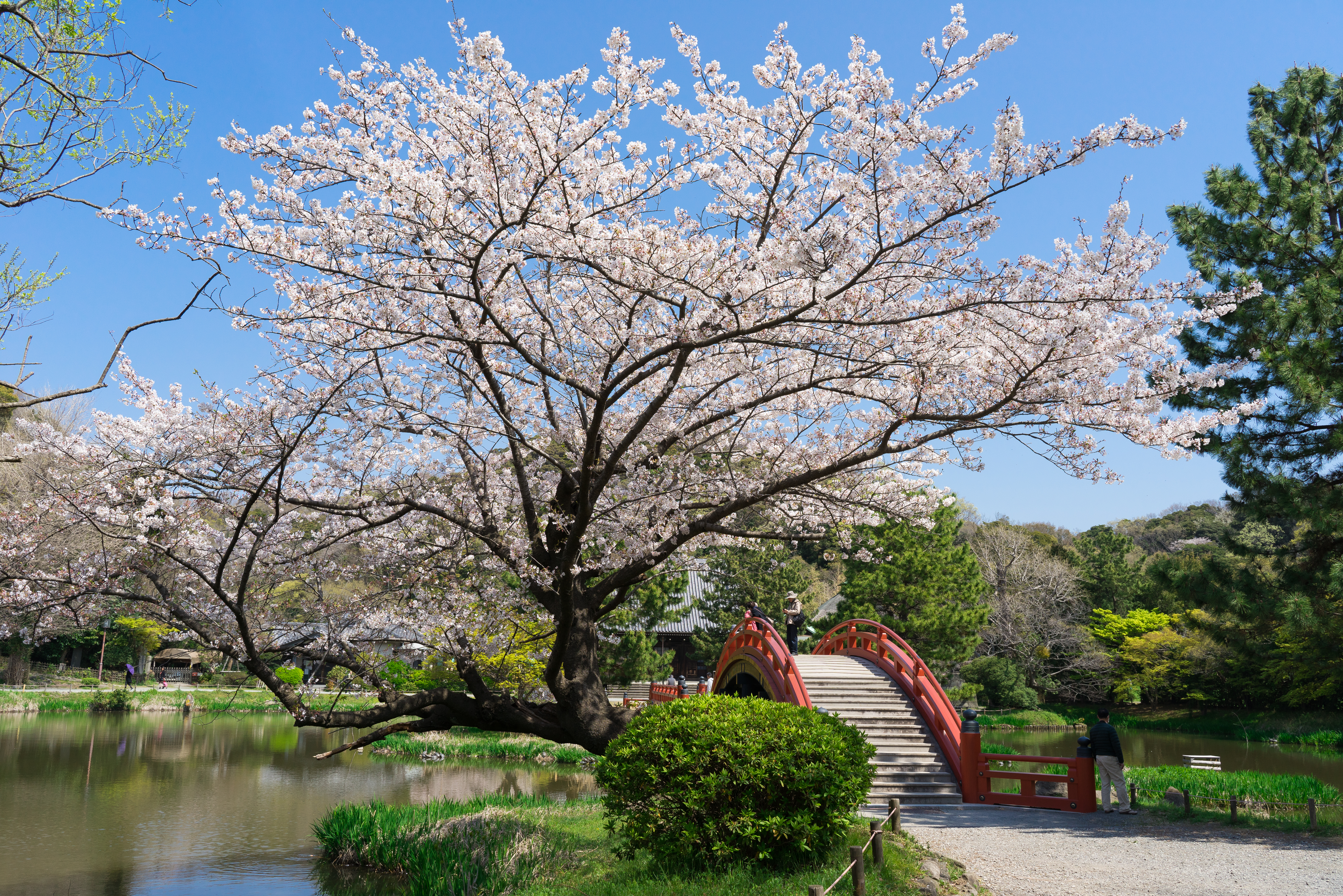 称名寺【横浜市】
