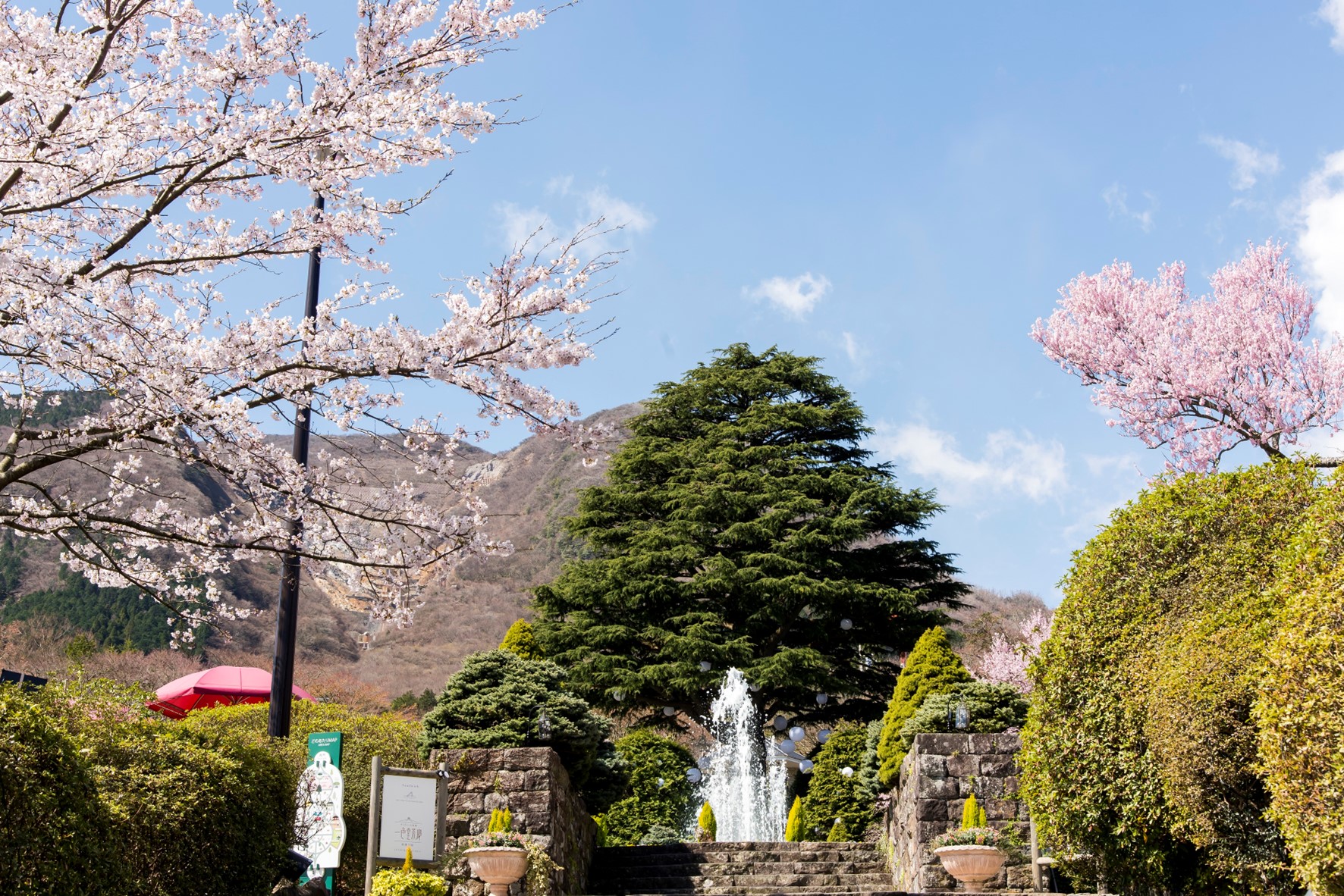 箱根強羅公園【箱根町】