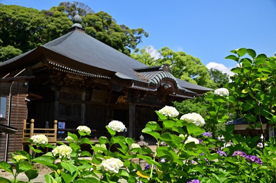 飯山観音 長谷寺【厚木市】