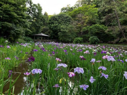生田緑地【川崎市】