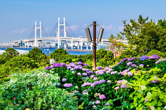 港の見える丘公園【横浜市中区】