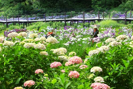 二宮せせらぎ公園