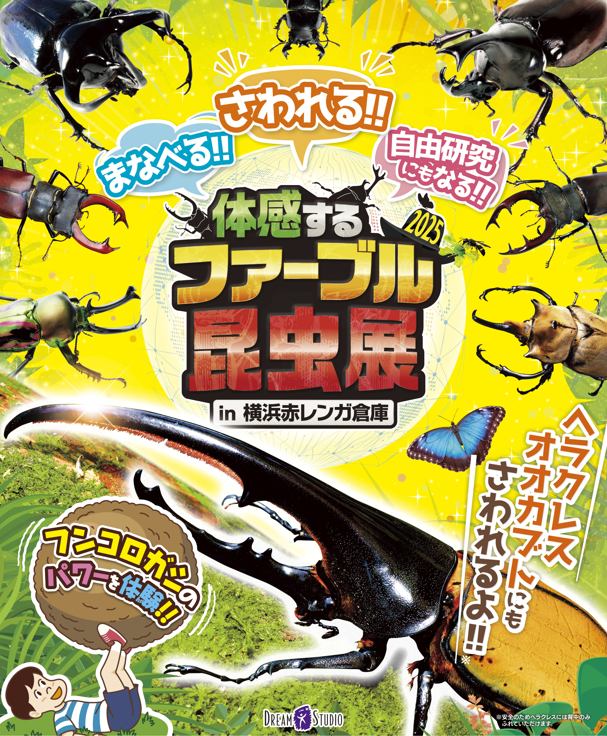 開催終了】体感するファーブル昆虫展 2025 in 横浜赤レンガ倉庫