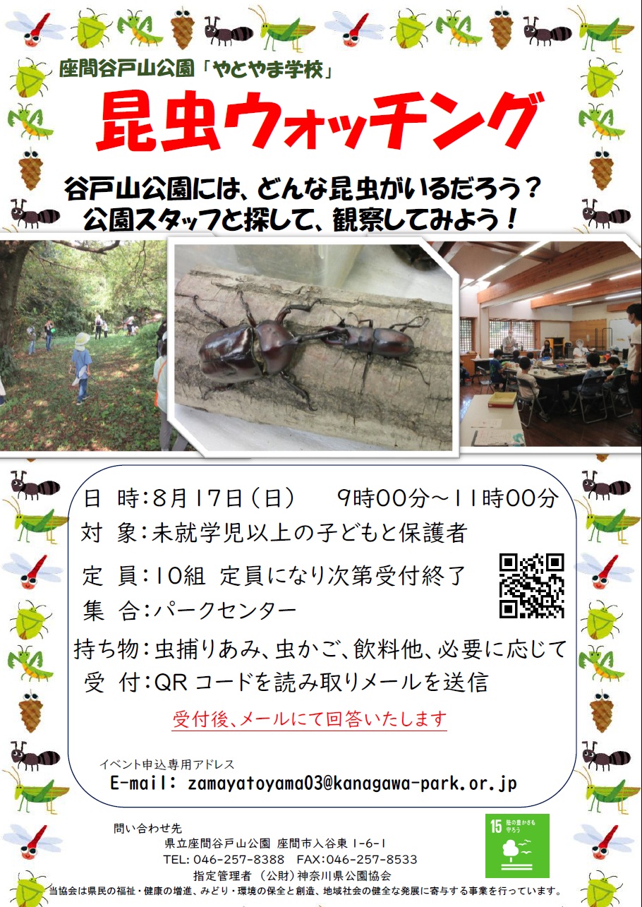 開催終了】県立座間谷戸山公園 「昆虫ウォッチング」｜イベント