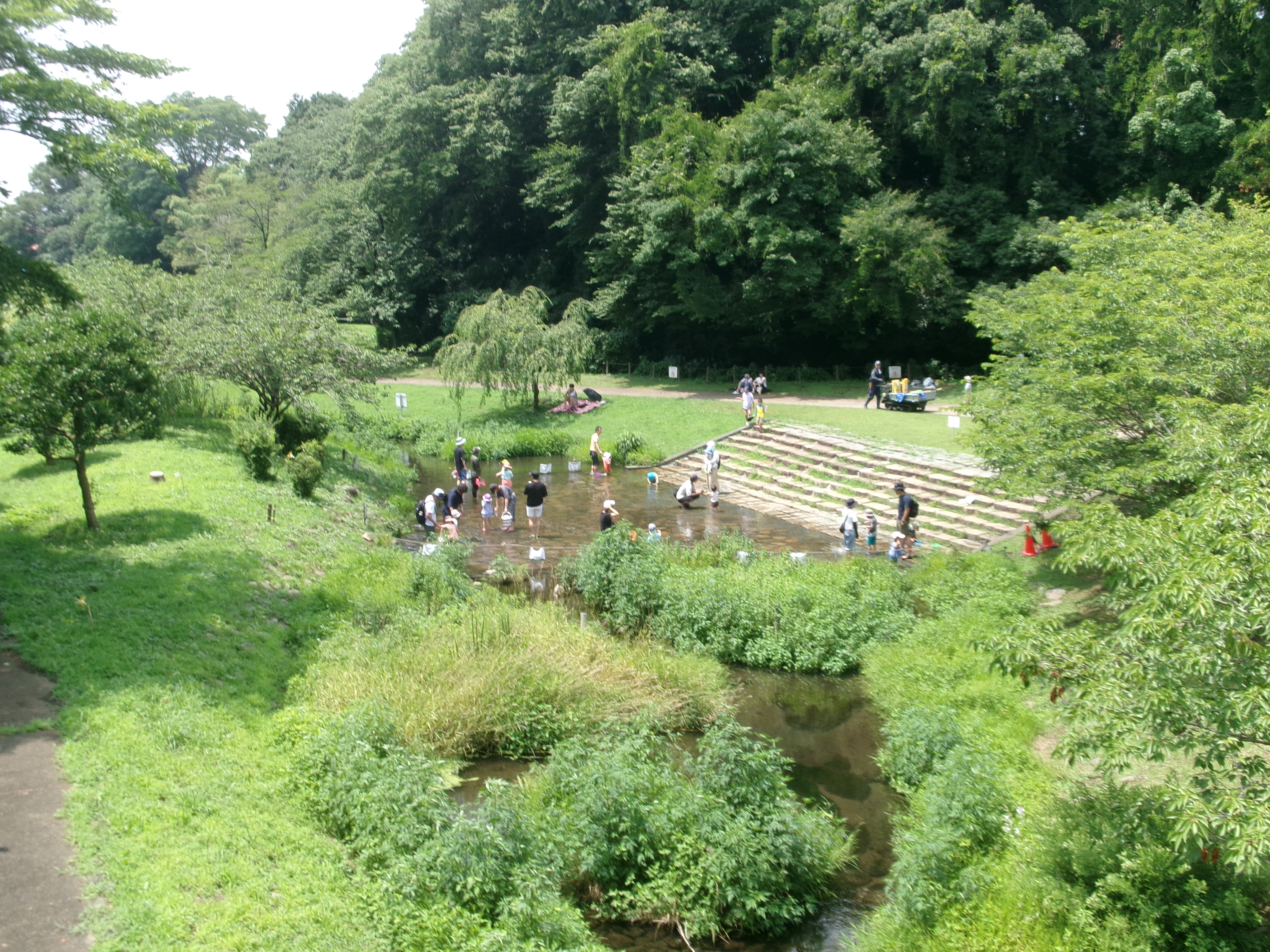 神奈川県立相模原公園 せせらぎの園地区 じゃぶじゃぶゾーン｜体験