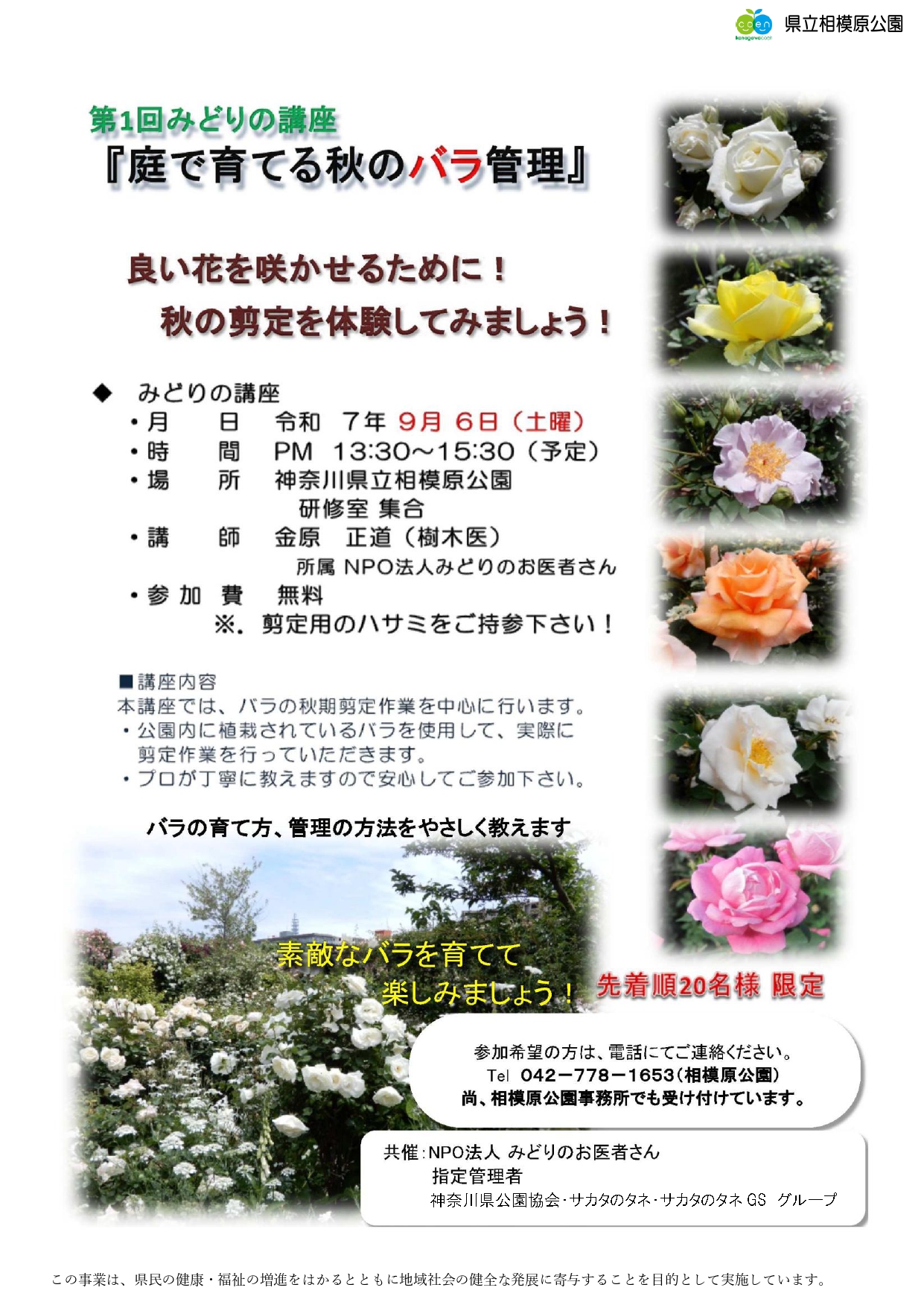 開催終了】神奈川県立相模原公園 みどりの講座「庭で育てる秋のバラ