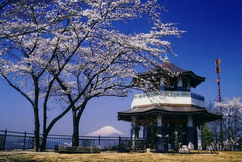 弘法山公園【秦野市】