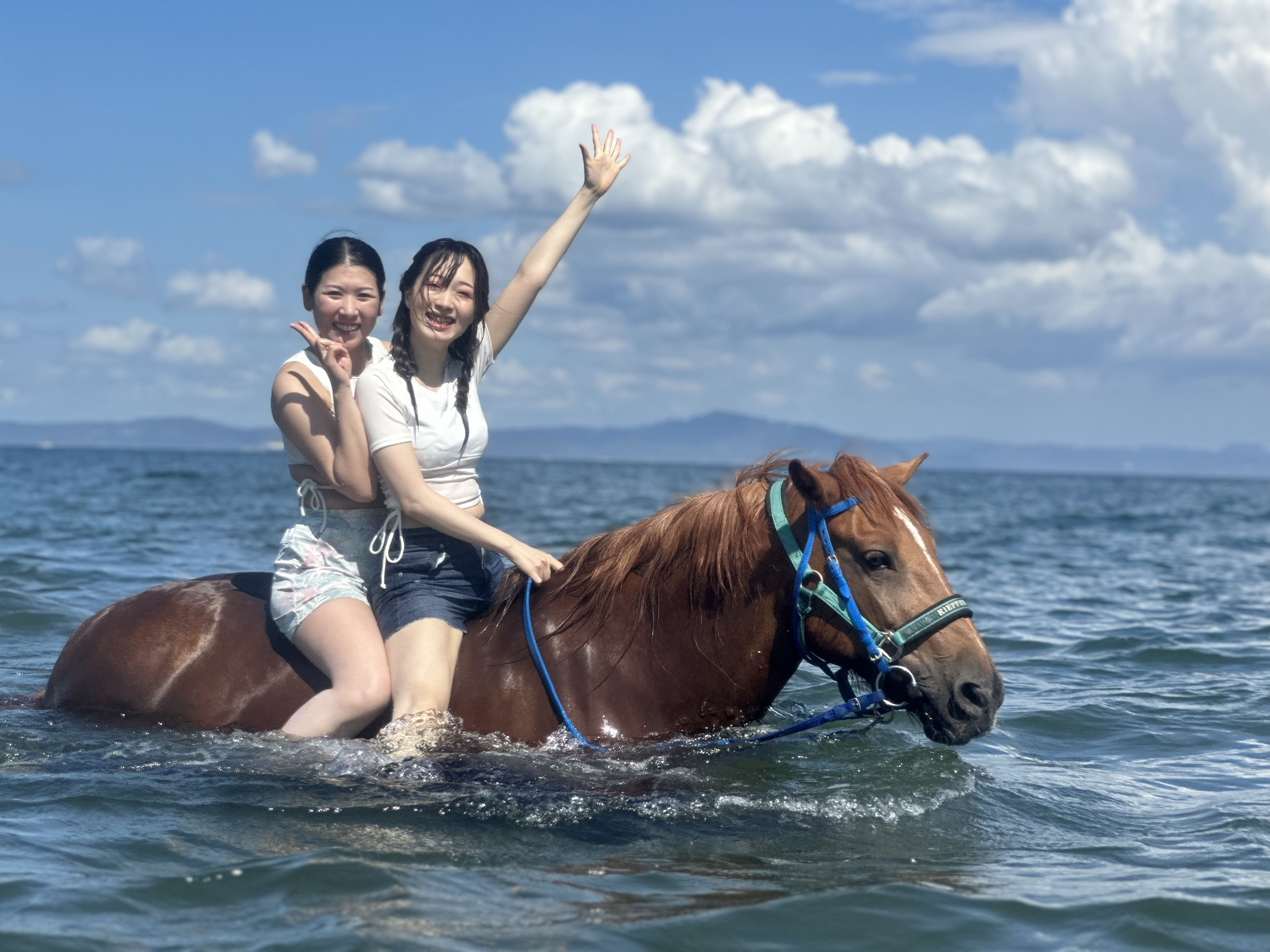 ホース トレッキング ファーム 三浦 海岸
