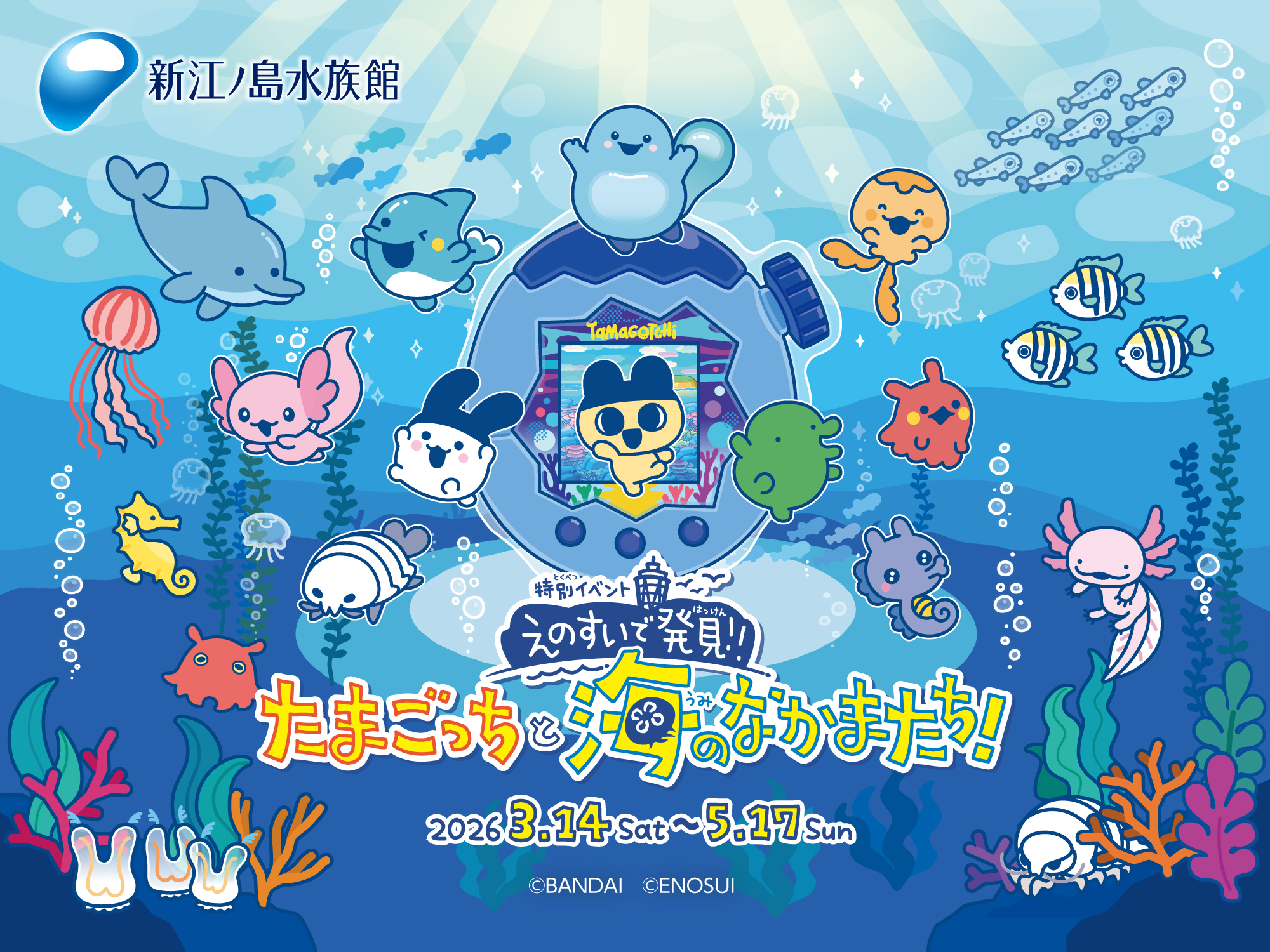 新江ノ島水族館 特別イベント『えのすいで発見!! たまごっちと海の