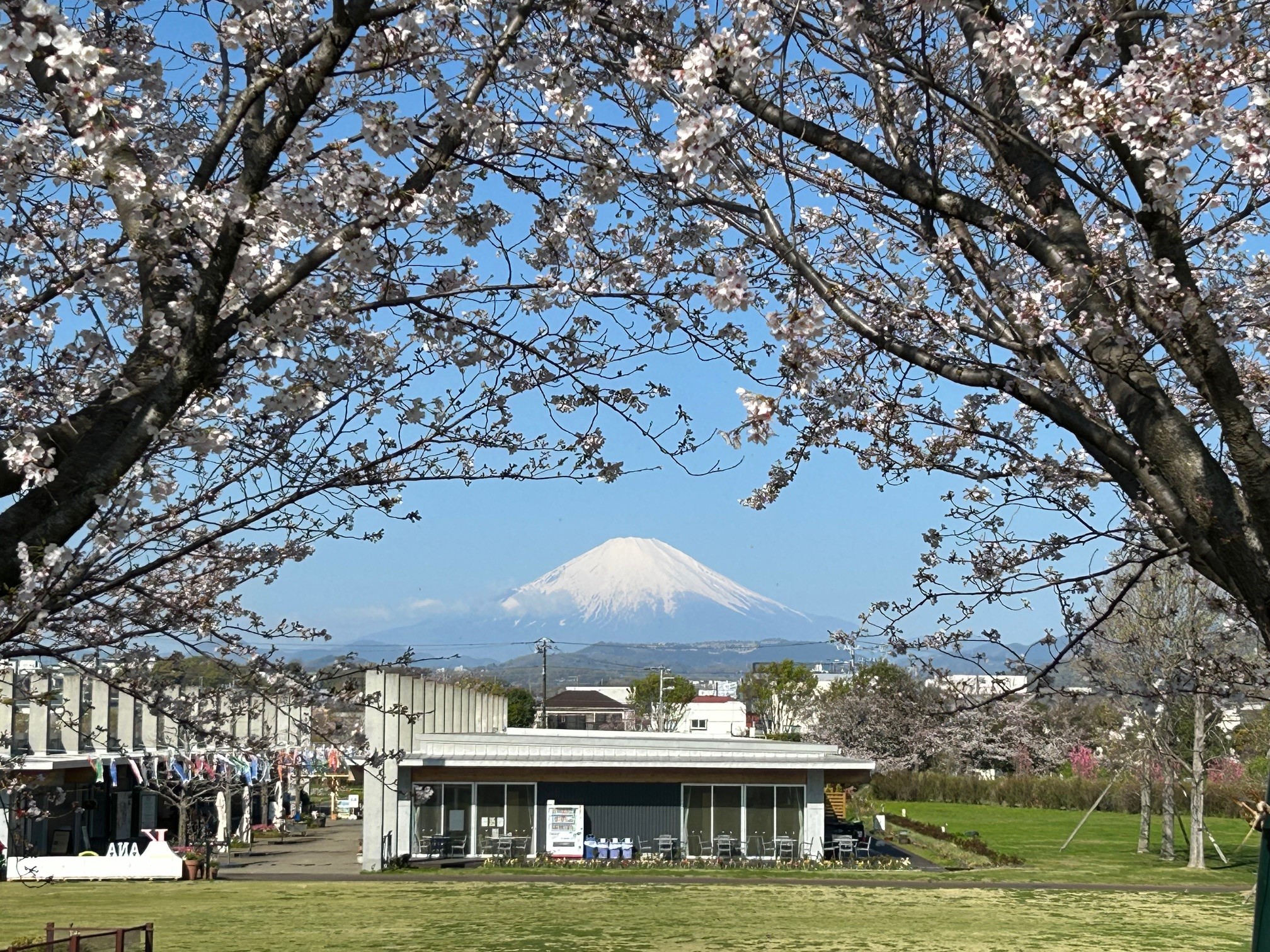 花菜ガーデン（神奈川県立花と緑のふれあいセンター）【平塚市】