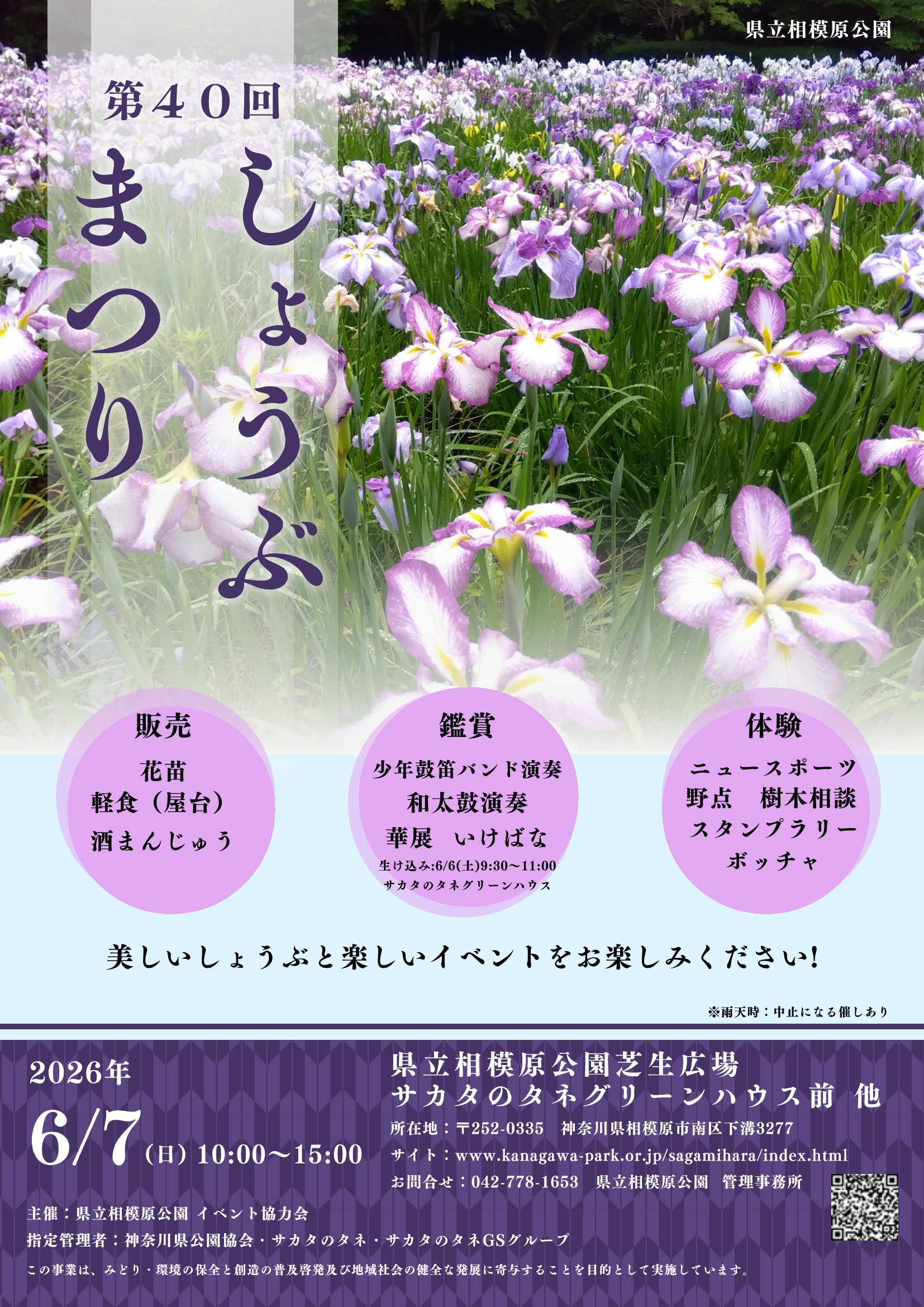 県立相模原公園「第40回 しょうぶまつり」