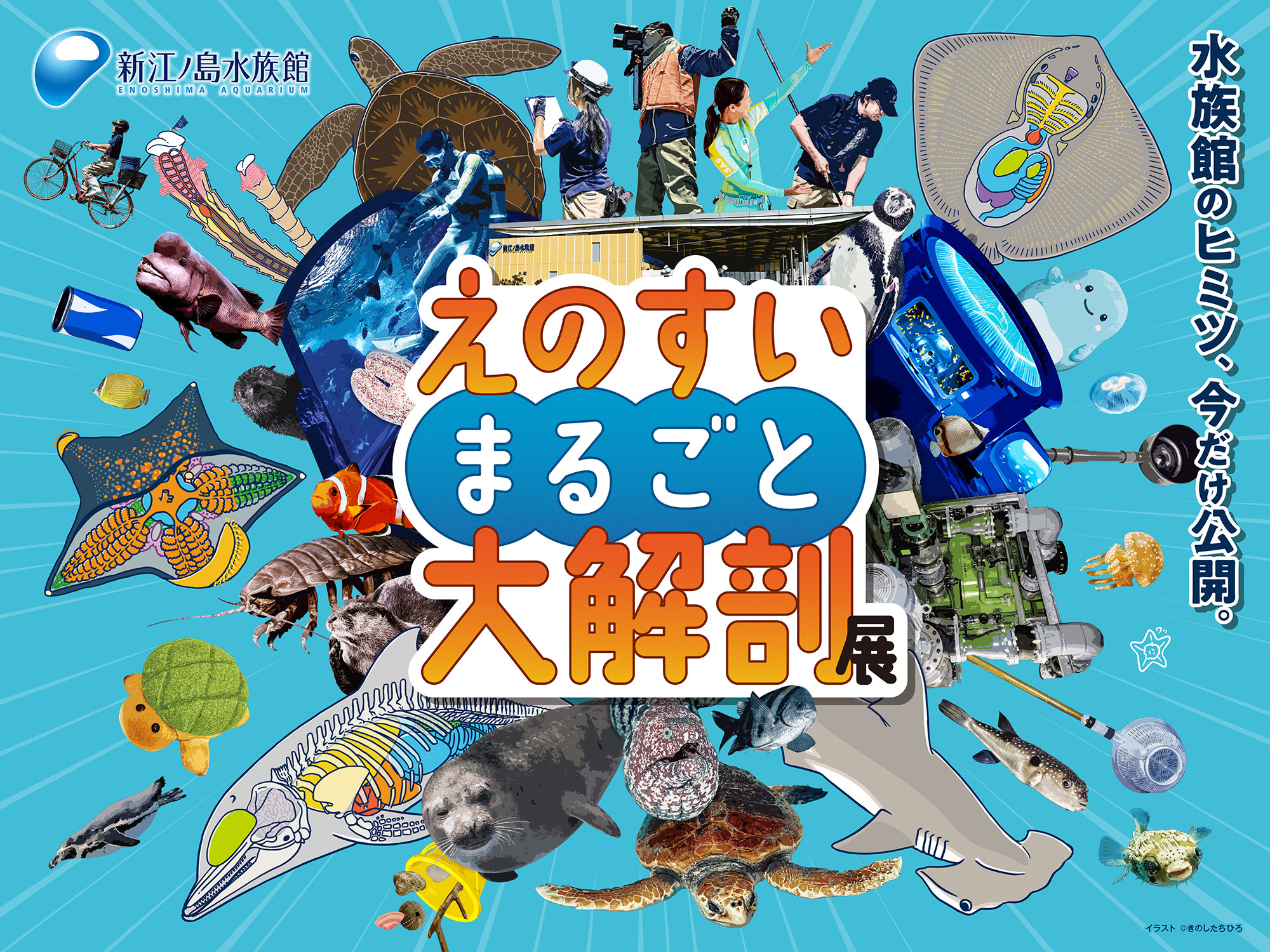 新江ノ島水族館 「えのすいまるごと大解剖展」【藤沢市】｜イベント