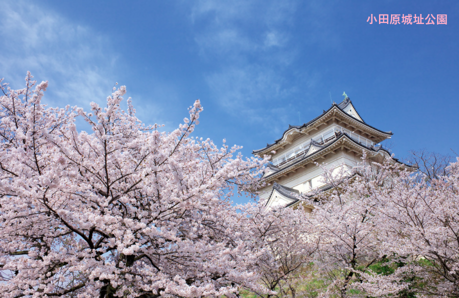 走水水源地公園【横須賀市】|体験・観光スポット |【公式】神奈川県のお出かけ・観光・旅行サイト「観光かながわNOW」